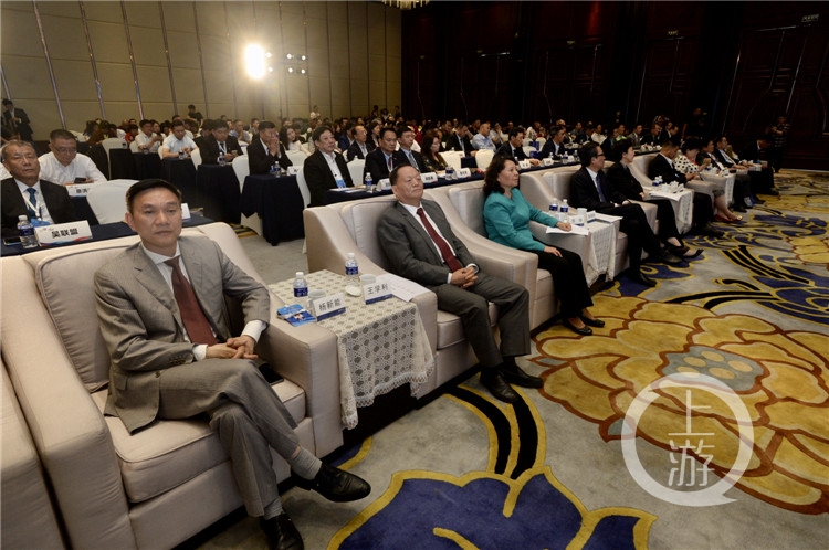 3D打印、石墨烯、人脸识别……重庆这些研发成果让“一带一路”侨商“入了迷”